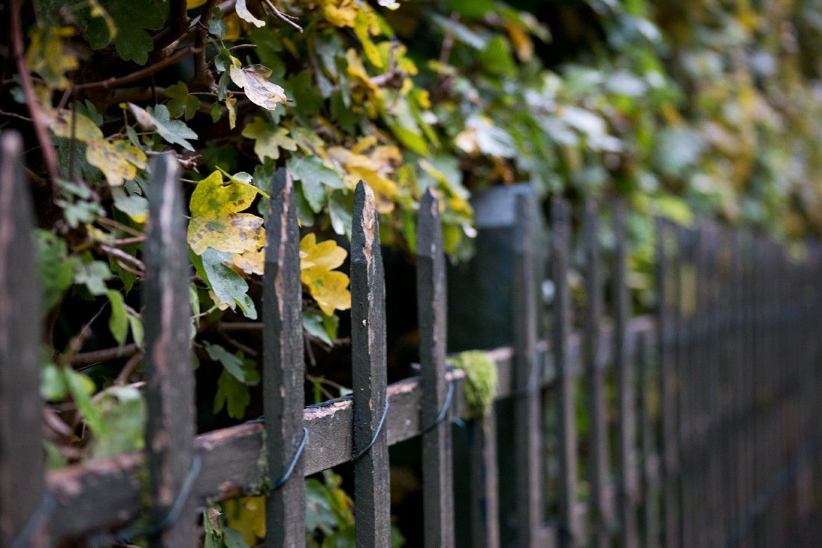 Urban and street photo 124